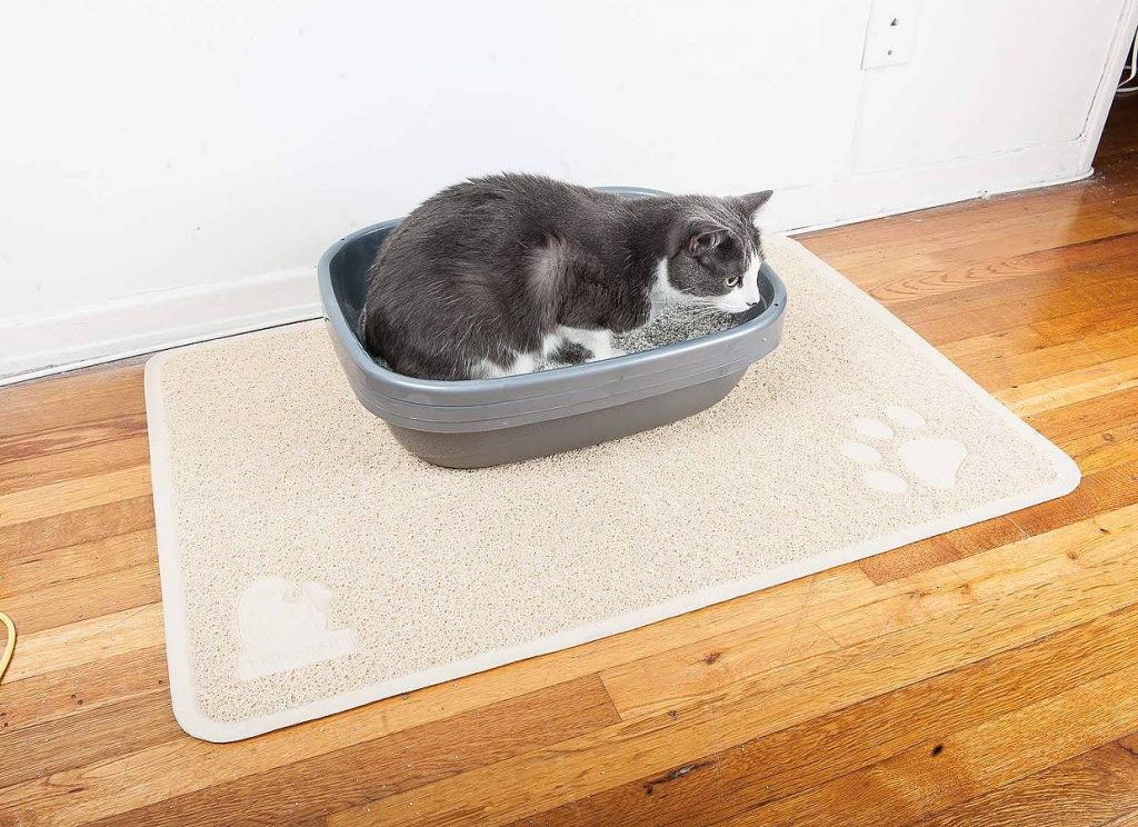 donde colocar arenero del gato en un piso